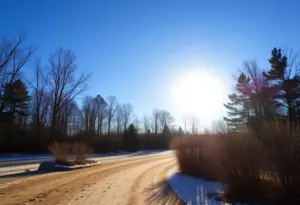 Winter morning landscape in Lexington SC, featuring clear skies.
