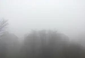 Dense fog covering a street in Lexington SC on a chilly morning