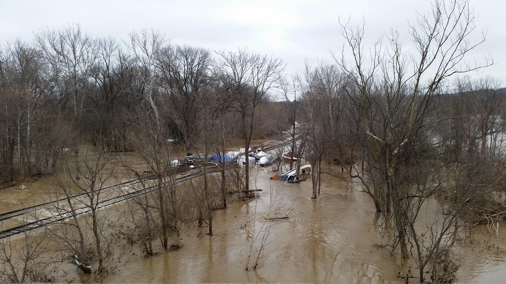 Floodwater covering a wooded area